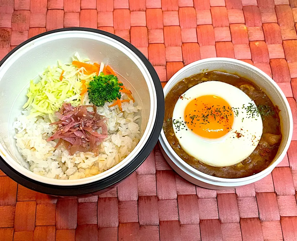 中学生息子のお弁当🍱 カレーライス弁当🍛🍱|Snow10さん