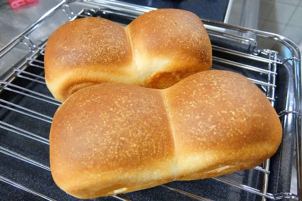 食パン焼いたよ〜🍞
初めてスーパーキング買った♪
ふわっふわ💕
食パン型まだ持ってない😅|深夜特急fさん