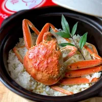 Snapdishの料理写真:セコガニでかに飯🦀土鍋ご飯