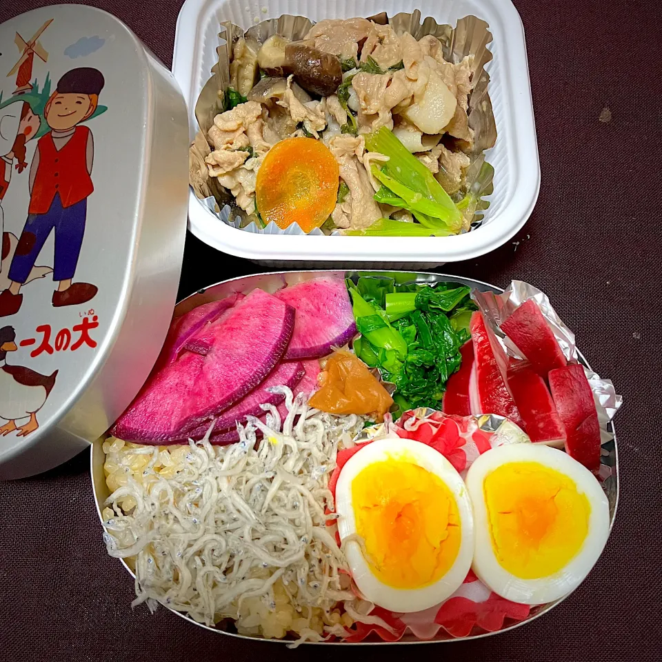 お弁当🍱|ゆうこりんさん