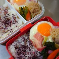 今日の二人弁当|yumihahaさん