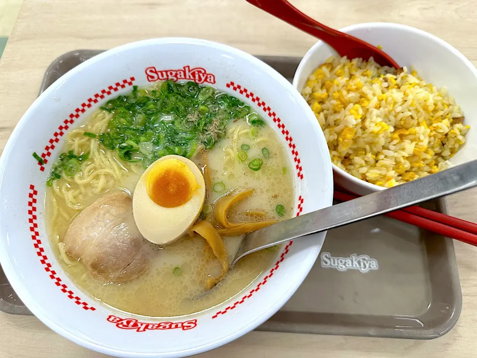 濃い味スガキヤラーメン&チャーハンセット|マハロ菊池さん