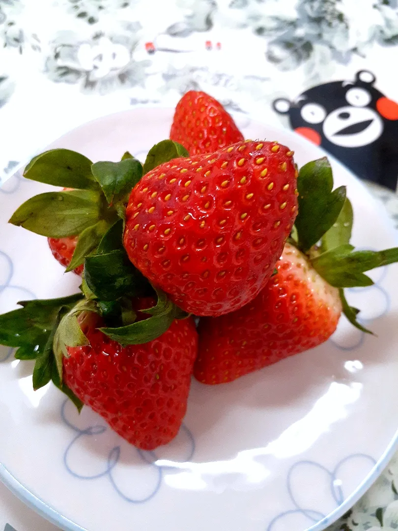 Snapdishの料理写真:🔷熊本県🍓ゆうべに🔷|@きなこさん