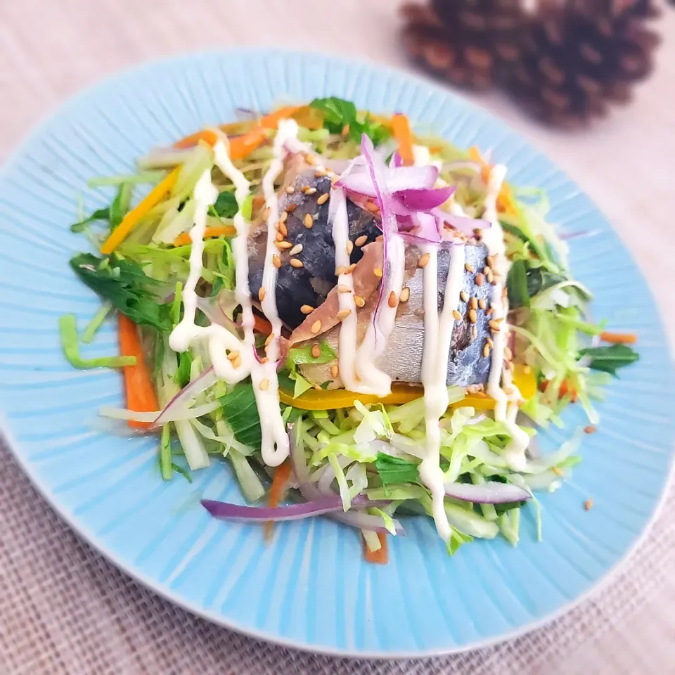 サバ缶ホットサラダ(  ˙▿˙　)簡単レンチン|まぁさん