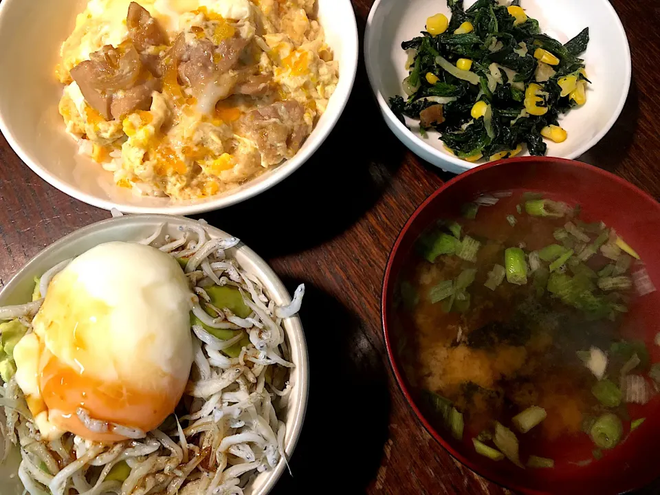 しらす丼or親子丼、ほうれん草のソテー|もちこさん