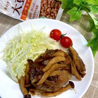 大豆のお肉でハンバーグ