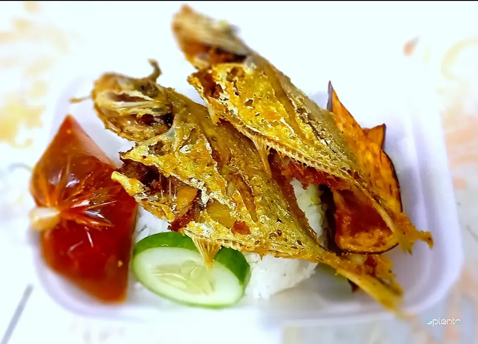 ikan putih rm6|Eyka Filia LDさん