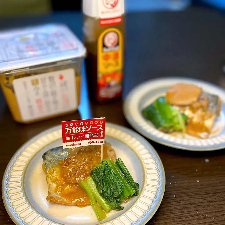 万能味ソースで作るさばのみそ煮|ちぐあささん