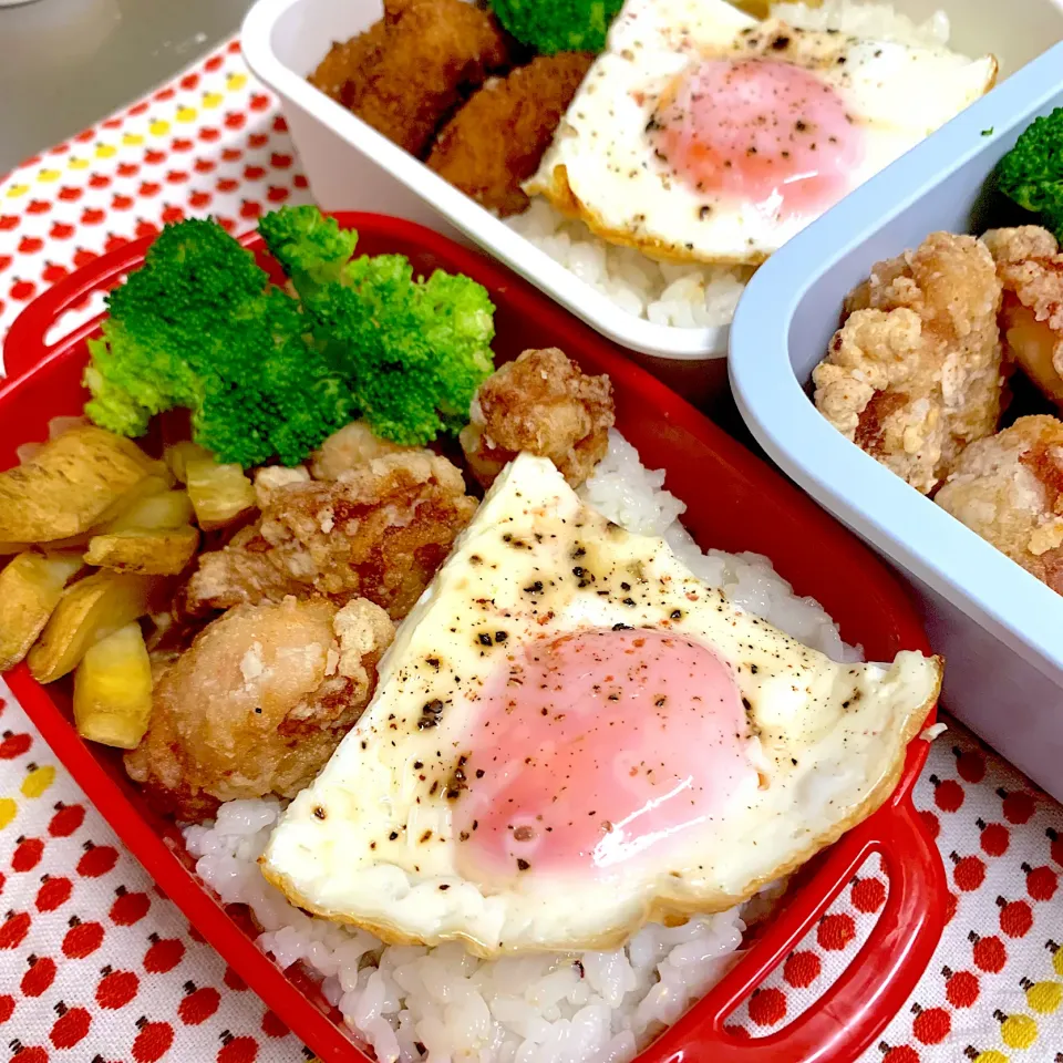 12/5弁当|まぁ〜さん