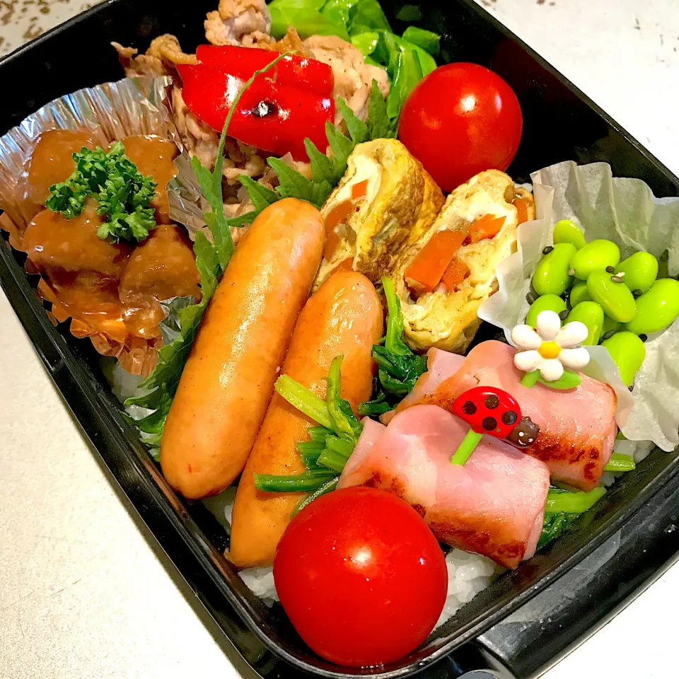 Snapdishの料理写真:小学生男子の遠足弁当|almostblackさん