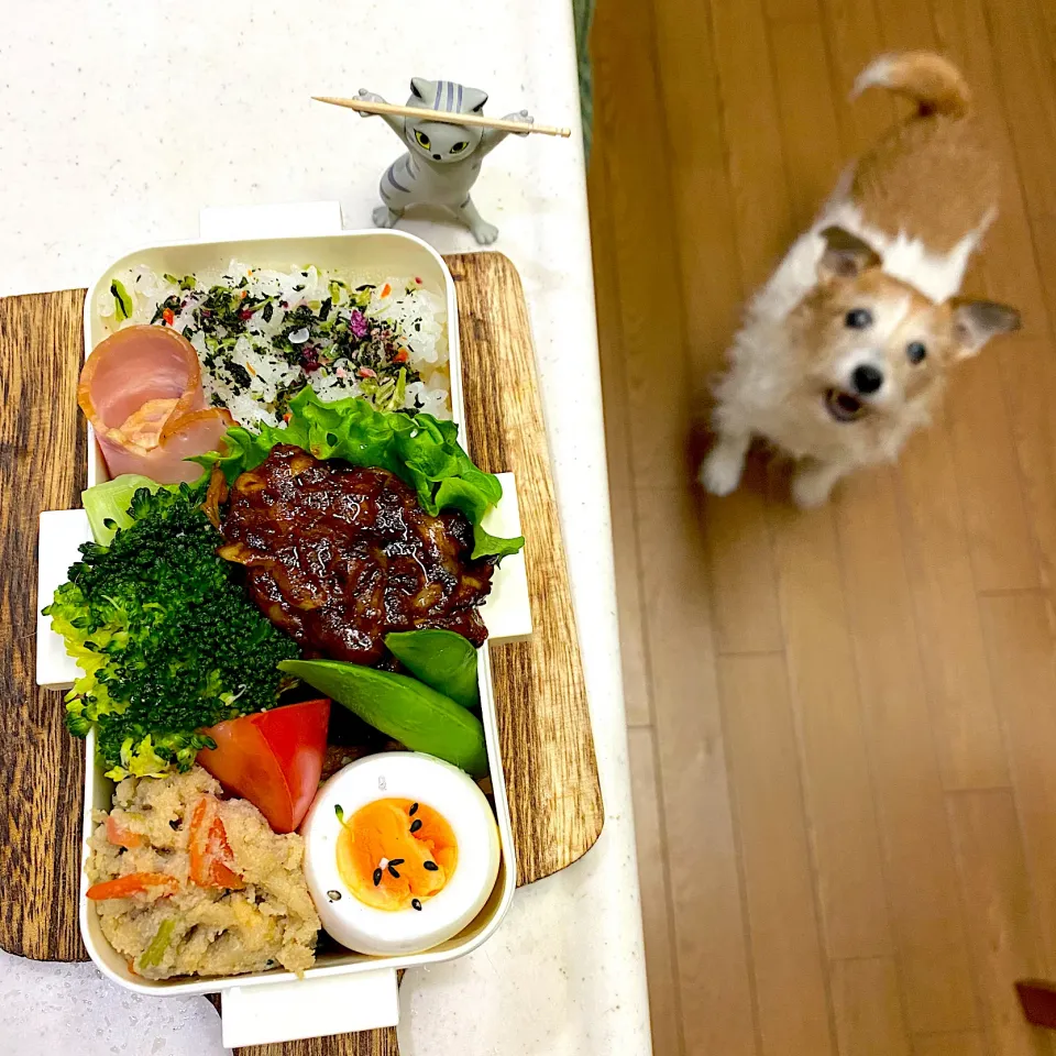 Snapdishの料理写真:デミチーズバーグ弁当🧀|cafe3733さん