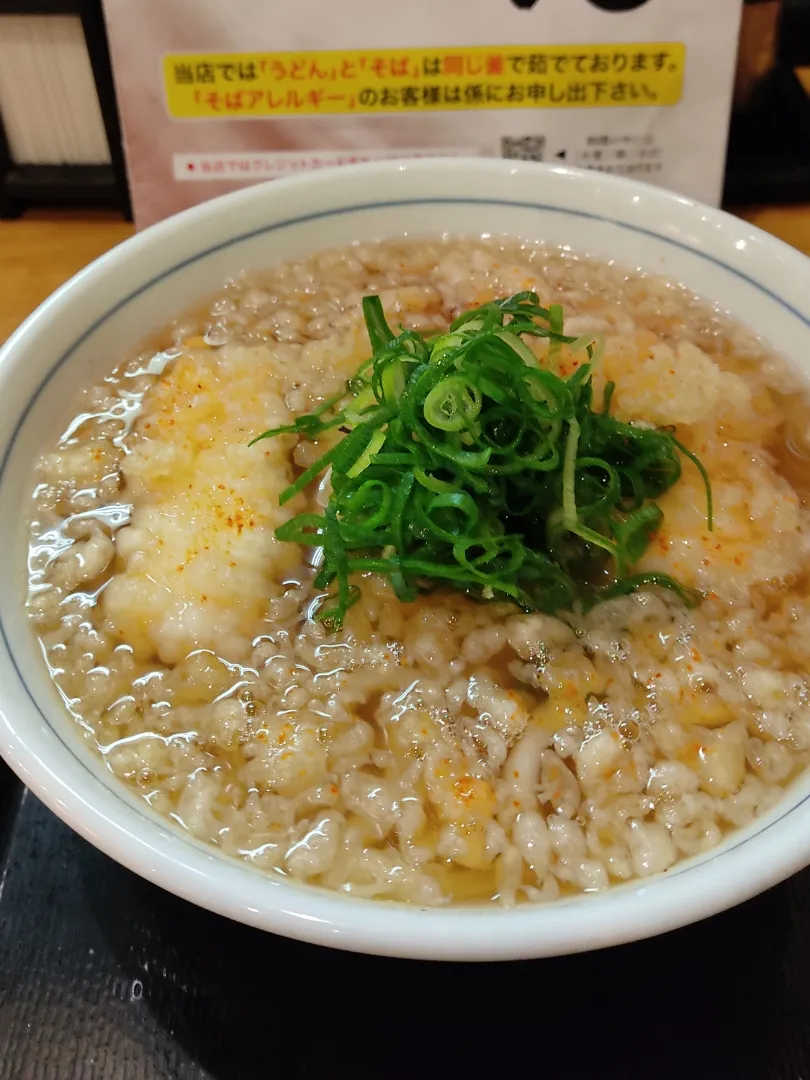 ウエストのいか天うどん|Rピージャーさん