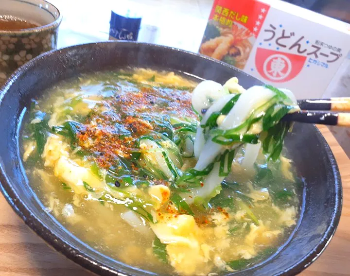 ネギたっぷりかき玉うどん🍜|びせんさん