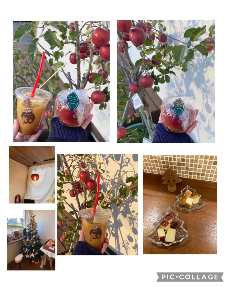 Snapdishの料理写真:🍎りんご飴屋さんへ🍎|きみちさん