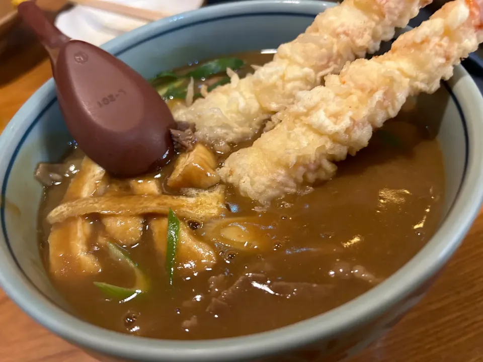 天カレーうどん🍤🍛|buhizouさん