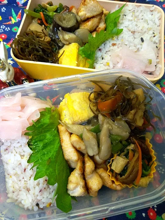 '22．12/11
本日のお弁当🍱|たえさん