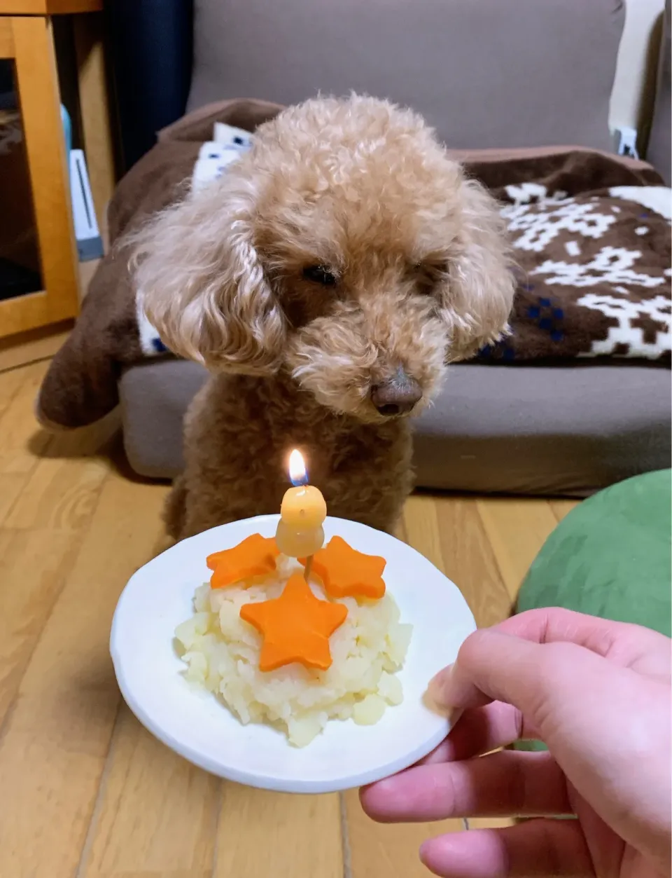 Snapdishの料理写真:2022.12.4.♡ラテ誕生日🎂|kimikimiさん