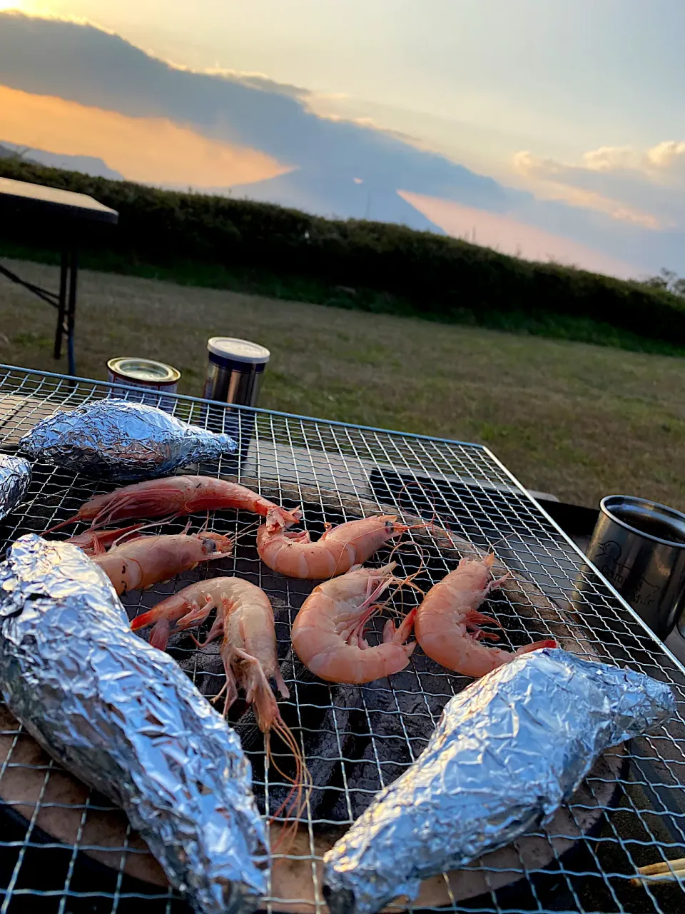 タカエビを七輪で塩焼き　桜島バックに|shikaさん