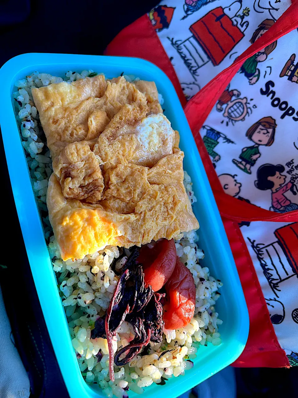 Snapdishの料理写真:#昼飯　玉子焼きとしそ梅乗せロウカット玄米ひじきしそ混ぜご飯弁当|ms903さん