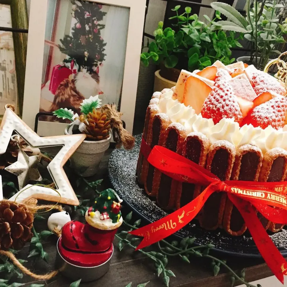 ナッペ苦手な私が作るクリスマスケーキ|はるなさん