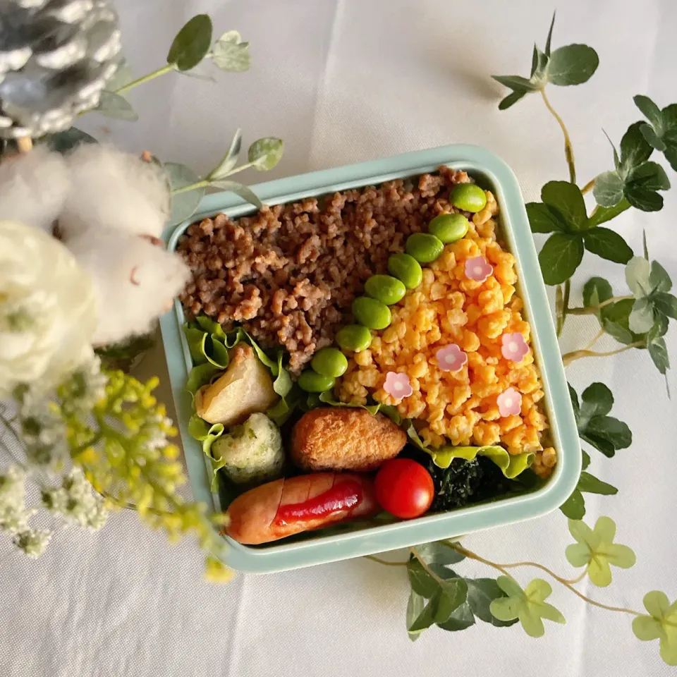 12/16❤︎主人の三色そぼろ弁当🌱✨|Makinsさん