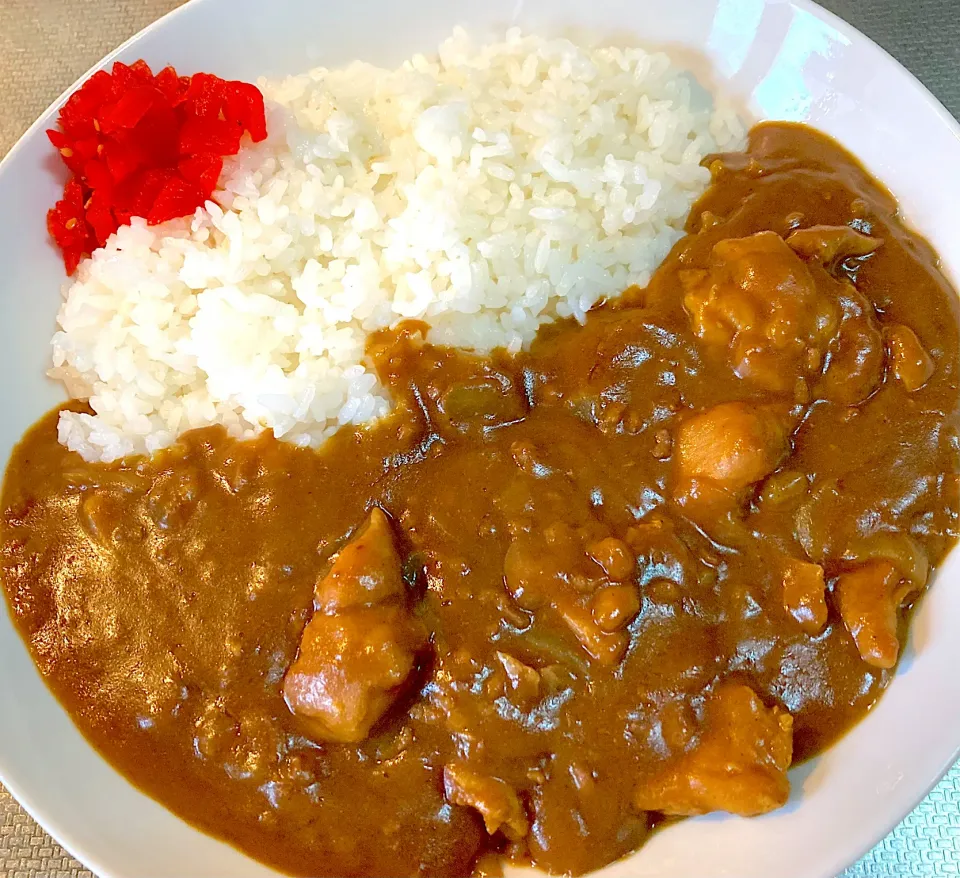 煮込みチキンカレー|satoruさん