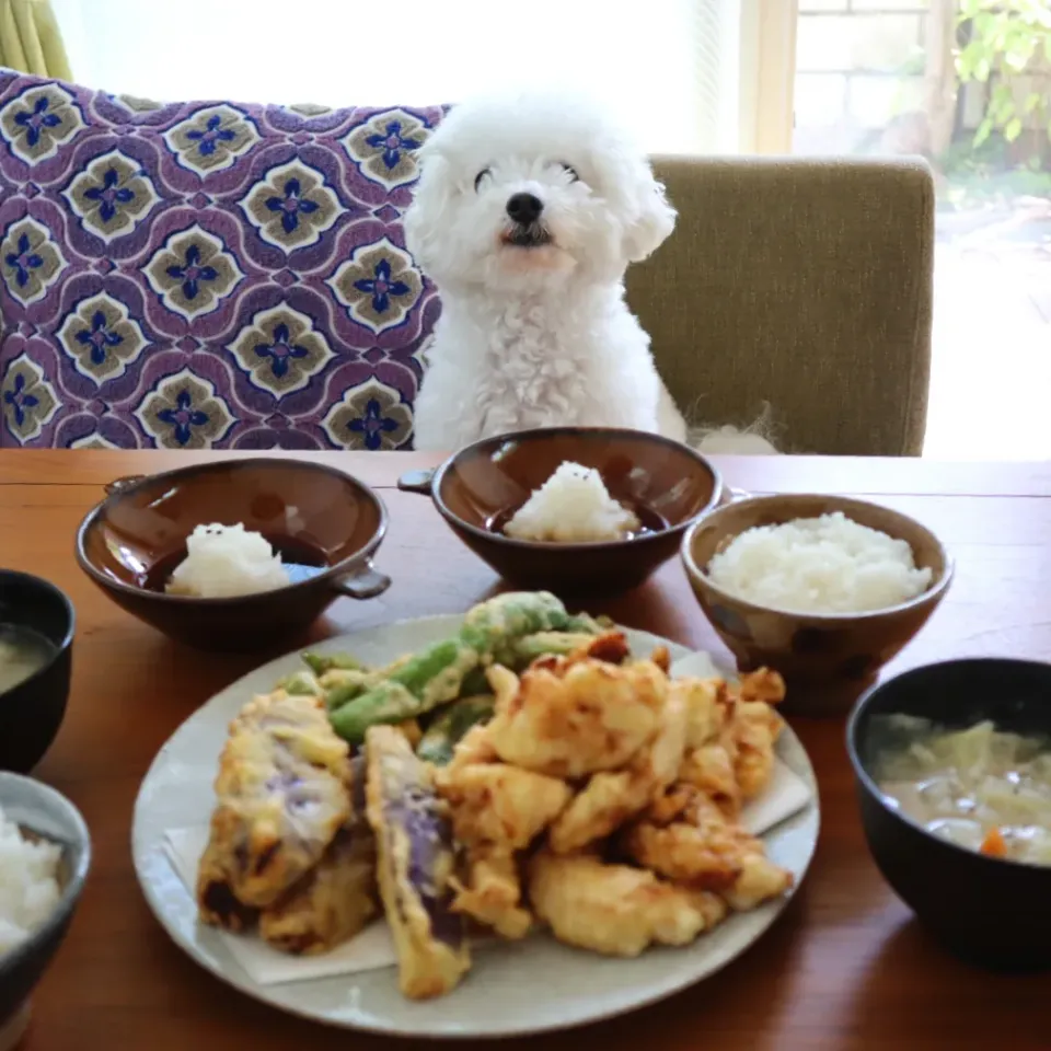 天ぷら定食|@chieko_tanabe_さん