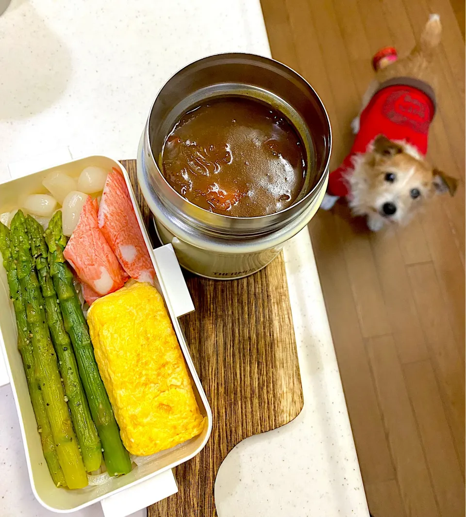 Snapdishの料理写真:カレーうどん弁当|cafe3733さん