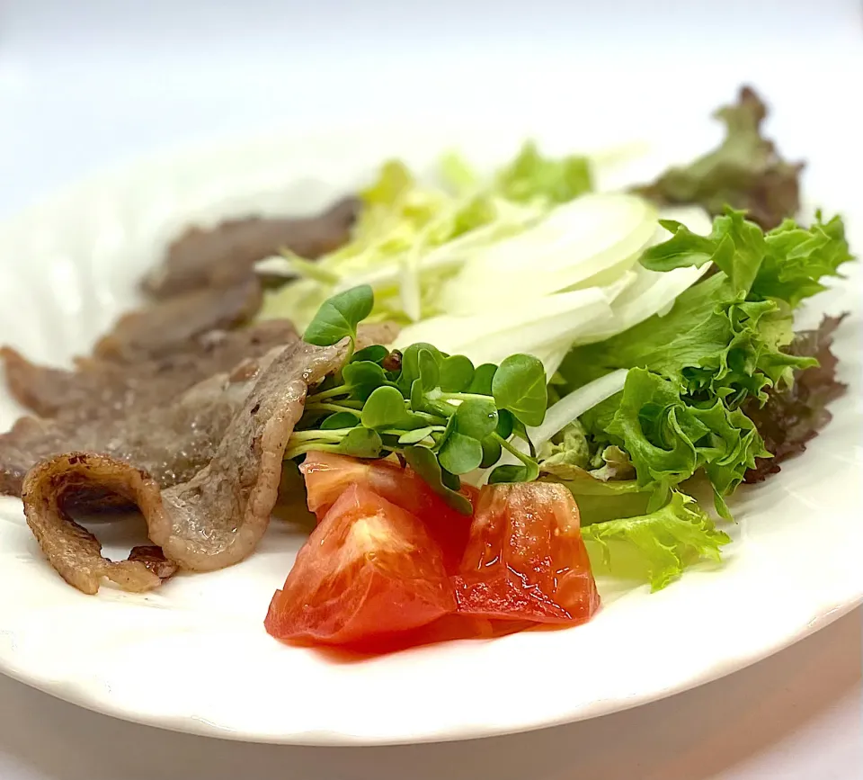 Snapdishの料理写真:お肉を焼きました。|かっちゃん杉さん