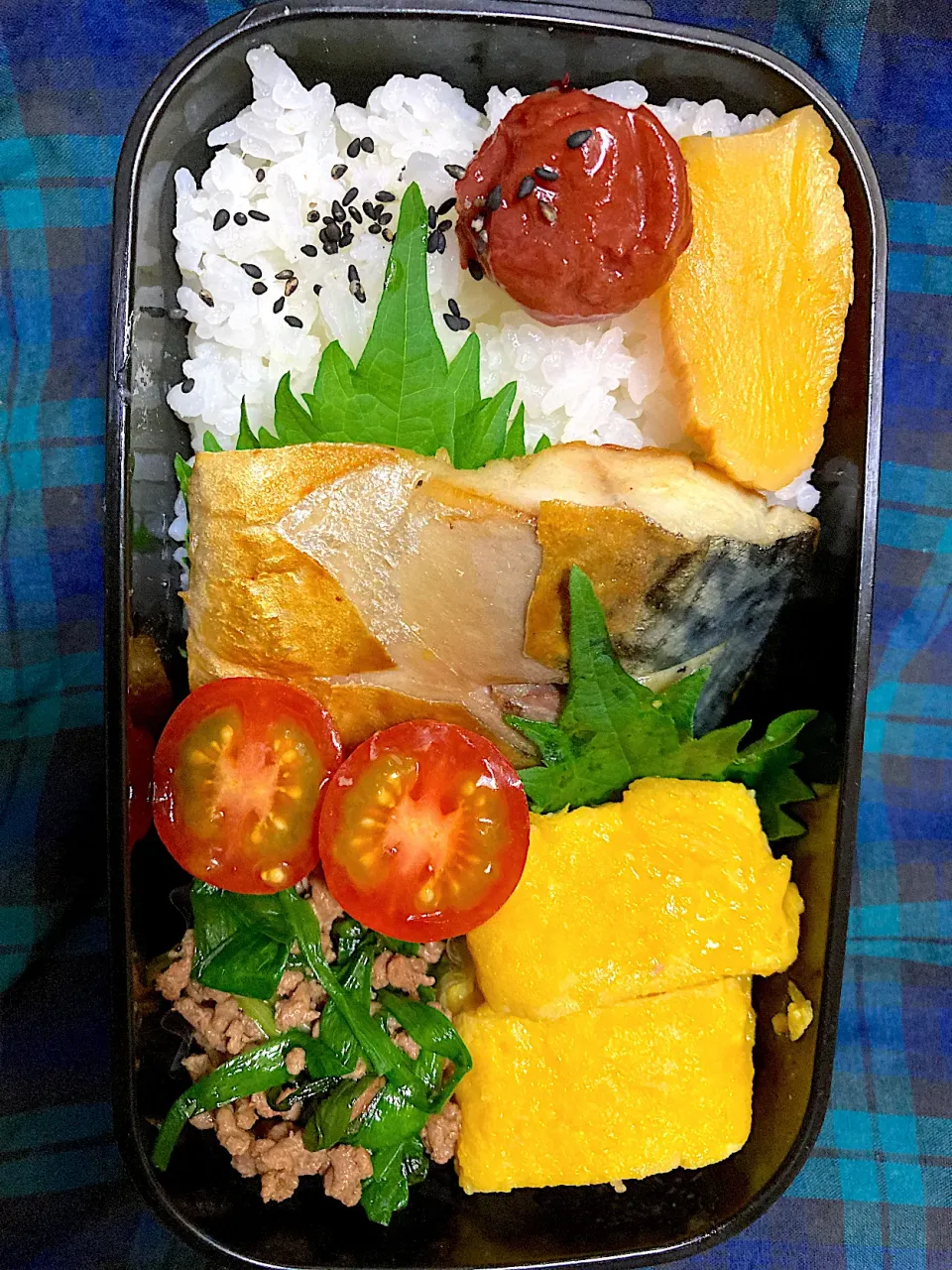 本日塩サバ弁当|ナタママさん