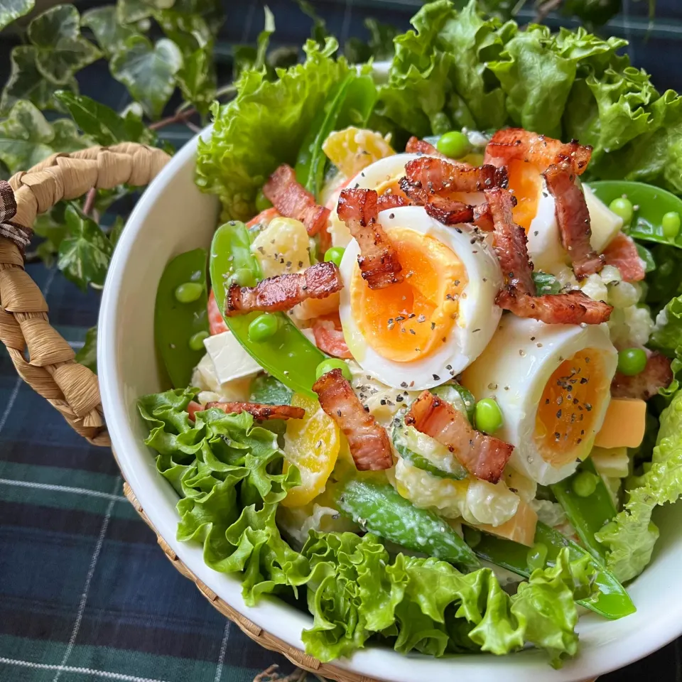 🥗世の中にご馳走様が溢れる日も　我が家は普段着ごはん😋定番 具沢山ポテトサラダ🥗|Hollyさん