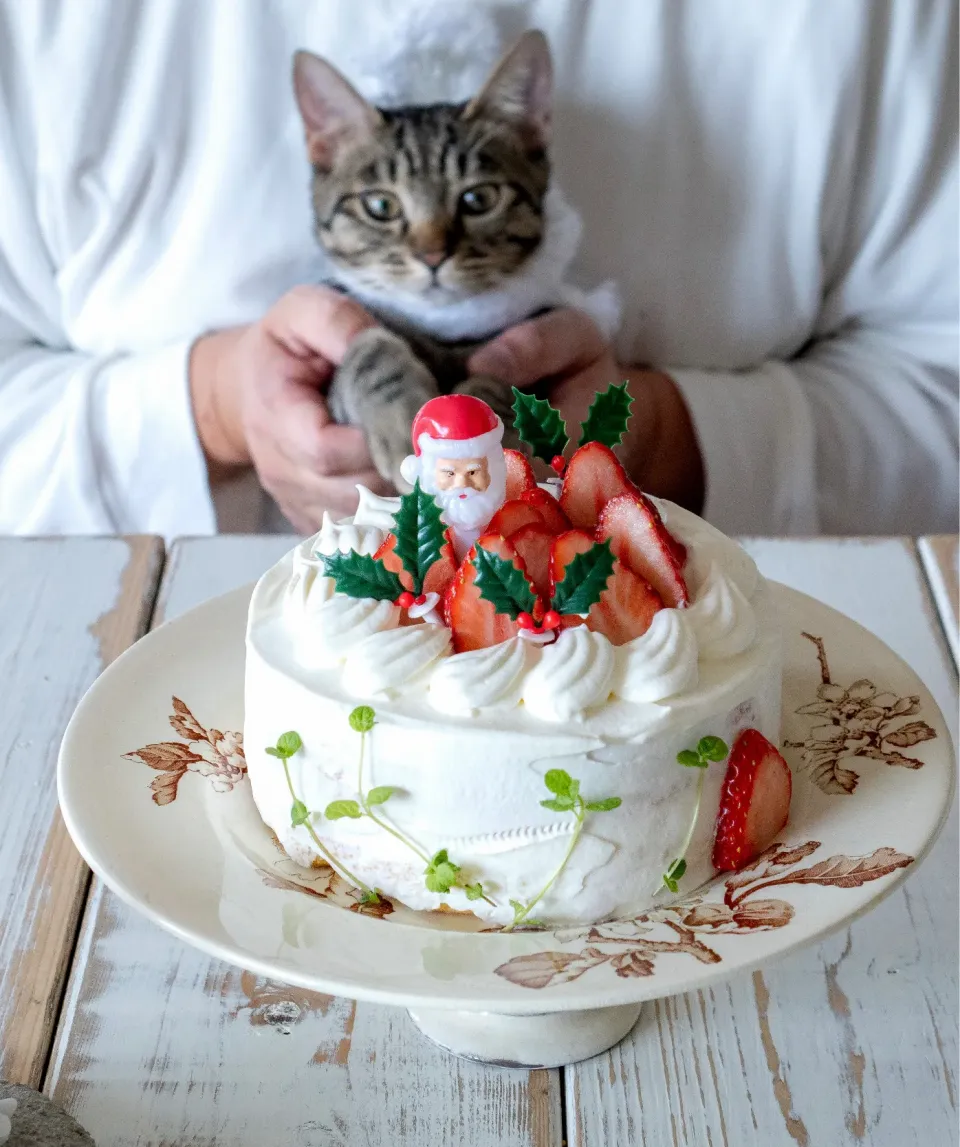 Snapdishの料理写真:クリスマスケーキ|kayokoさん