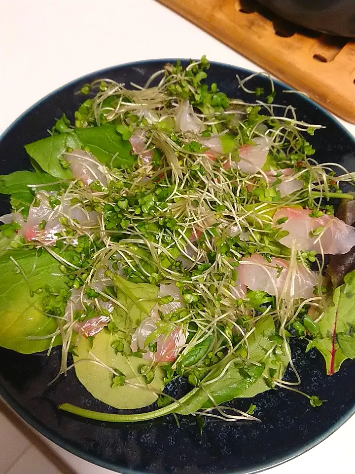 鯛のカルパッチョ|食事メモメモさん