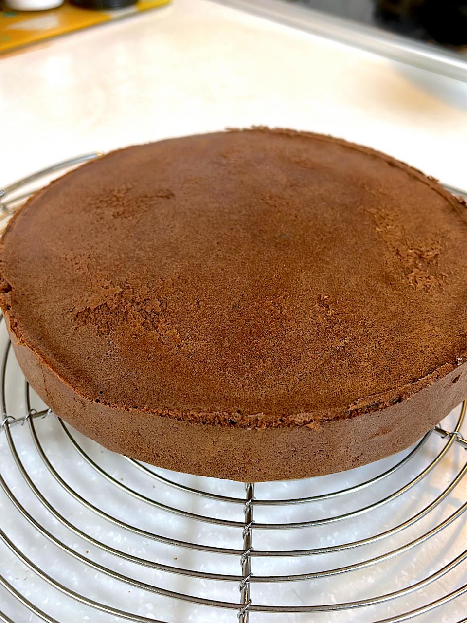 チョコスポンジケーキ