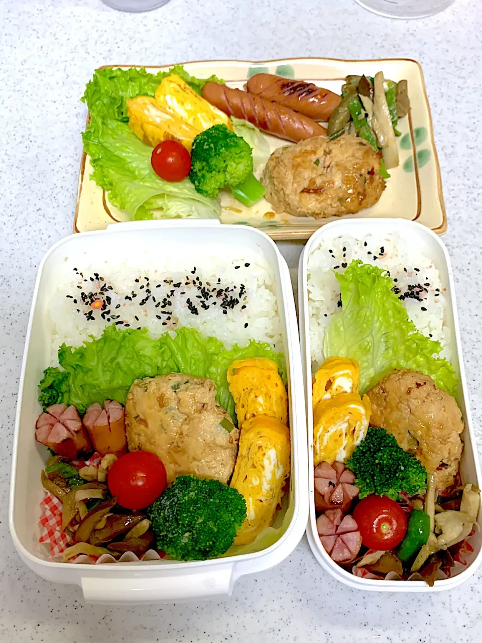 2022年12月27日豆腐ハンバーグ弁当🍱|もぐぷーさん