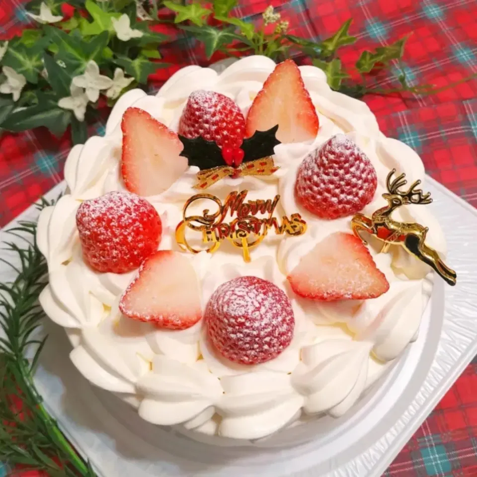 シンプルにイチゴのショートケーキ🍓

今年はさがほのか2パックを使って贅沢ショートでした。|katsunさん