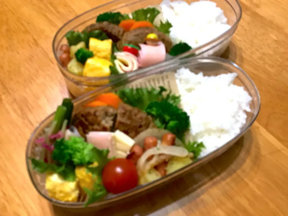 ある日のお弁当|ふぅさん