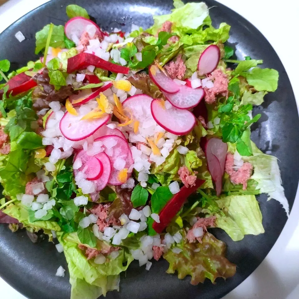 クレソンとビーツのサラダ🥗|ファンメイ🌺さん