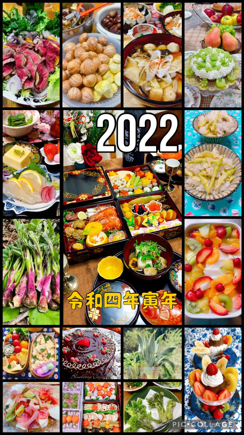 2022年 令和四年 寅年🐯を振り返って|Blueberry🫐さん