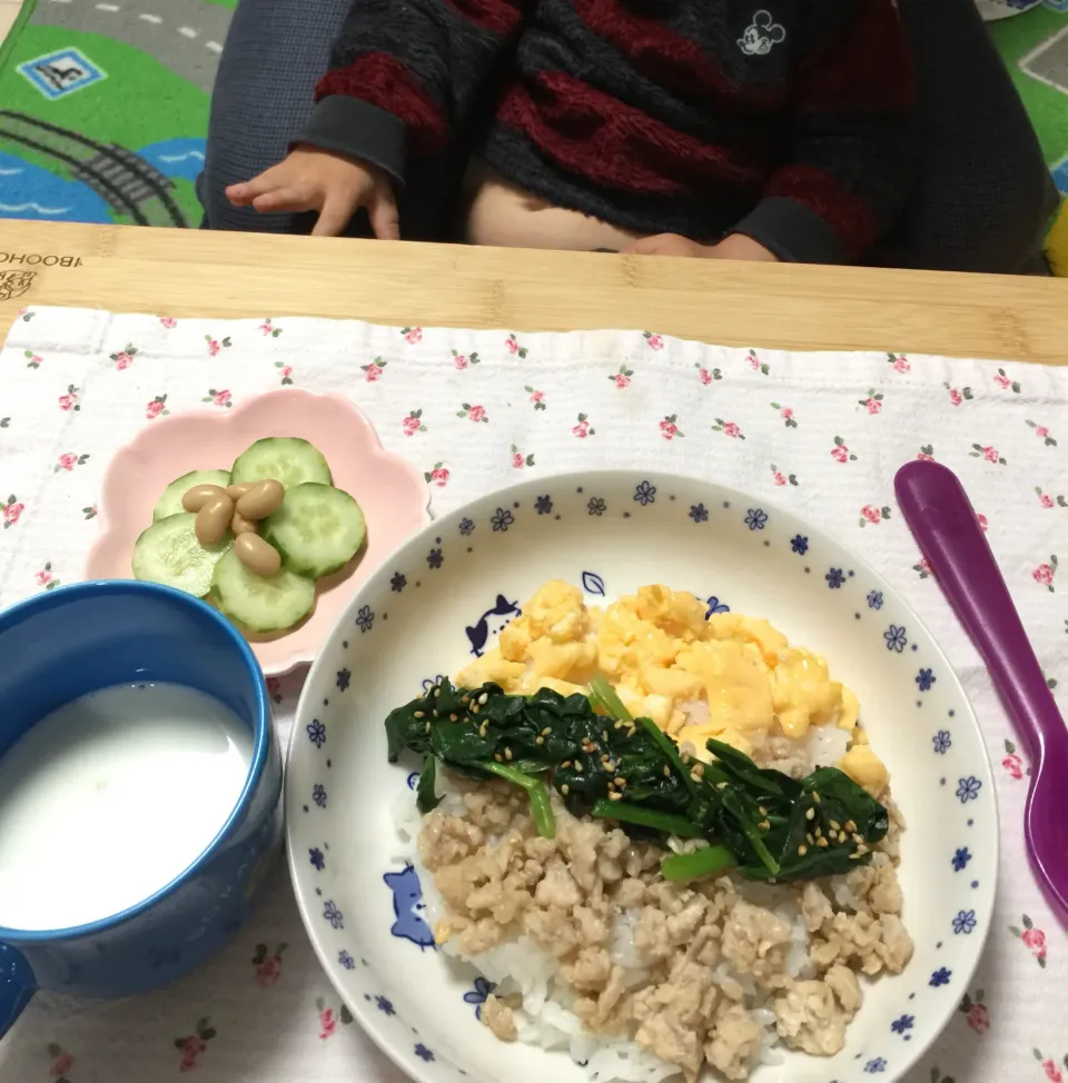 鶏そぼろ丼|さとう かおりさん