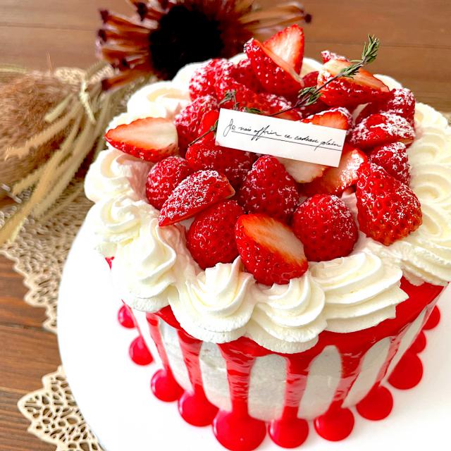 最新入荷】 ベリーのドリップケーキ&カップケーキプレート③ その他 