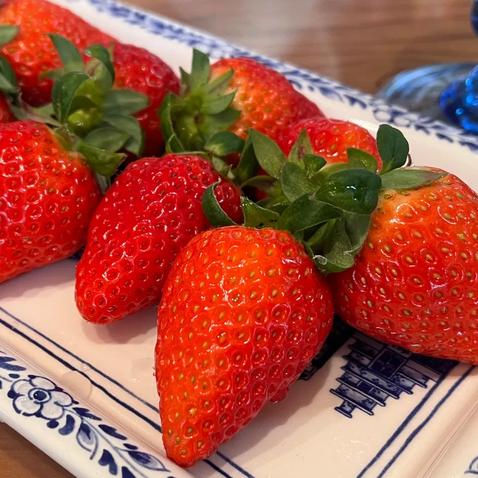 🍓|Lenoさん