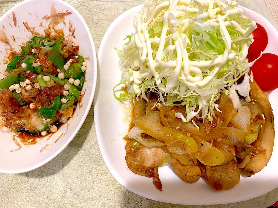 Snapdishの料理写真:生姜焼き・イカおくら|♡happyhalloween♡さん