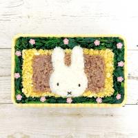 ミッフィーそぼろ弁当