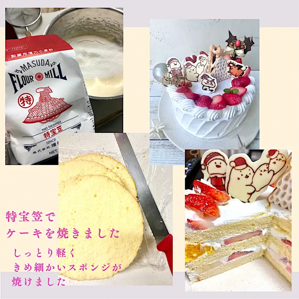 特宝笠でケーキ❤️|hari-co ＊ はりこさん