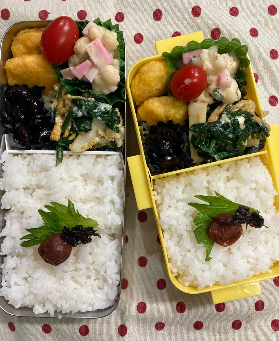 1月5日 夫仕事始め フツ〜の お弁当🍱|sakuramochiさん