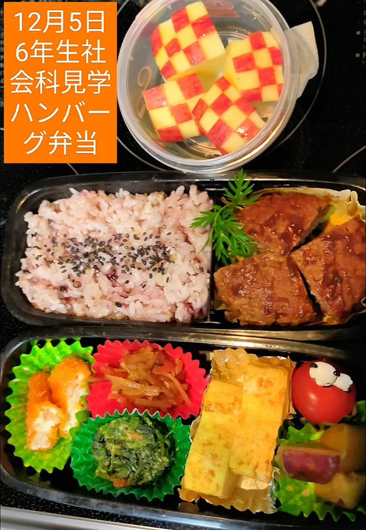 Snapdishの料理写真:小6 社会科見学のお弁当|きなこきのこさん