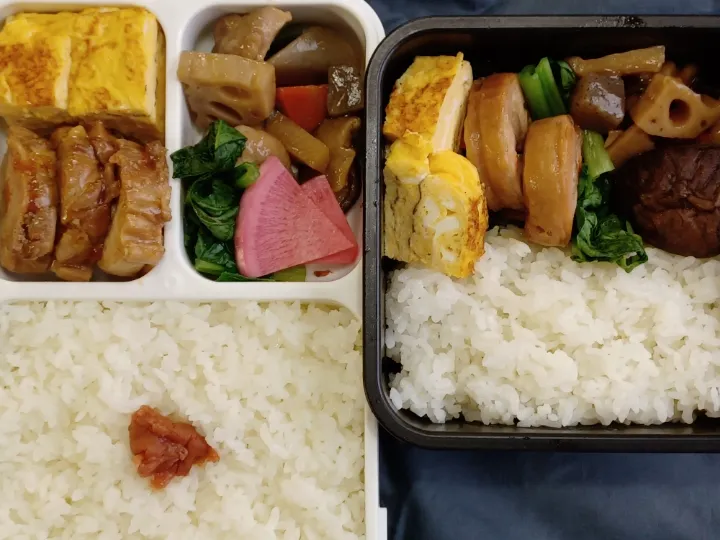 Snapdishの料理写真:仕事始めは安定の地味弁、少しお節風味|ぱいんてーるさん