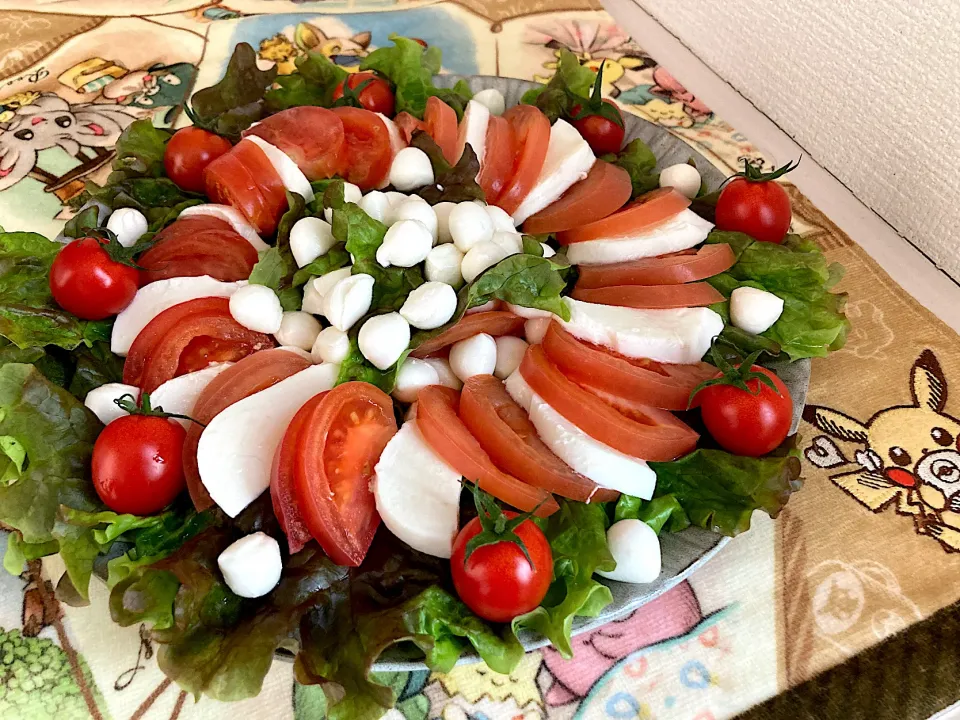 ＊トマトとモッツァレラチーズのサラダ🥗＊|＊抹茶＊さん