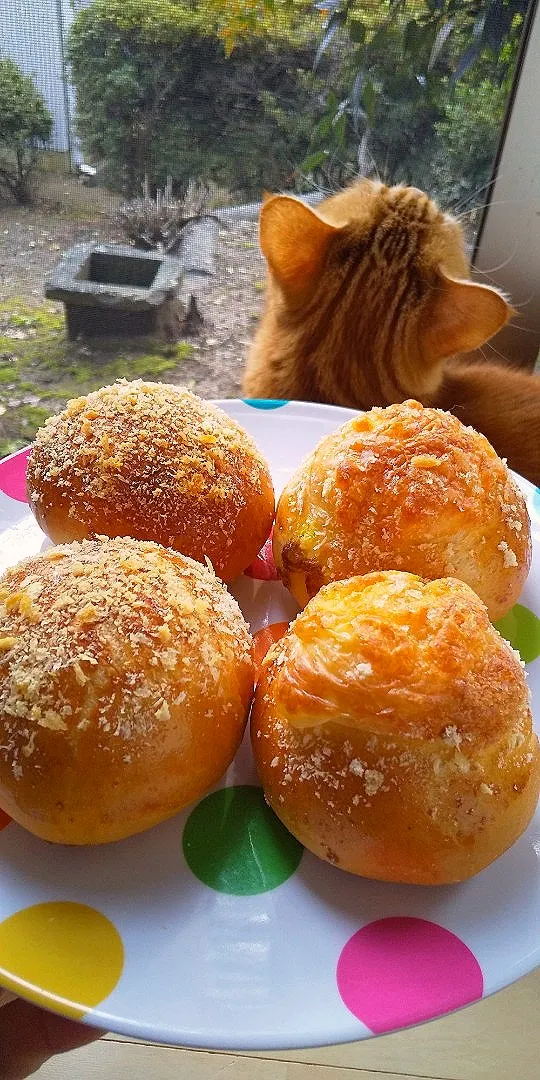 焼きカレーパンと
焼きチーズカレーパン
CoCo壱のテイクアウトのルーなので
間違いない美味しい😸|さくらんぼさん